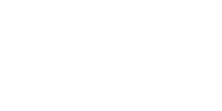 logo trimonkey